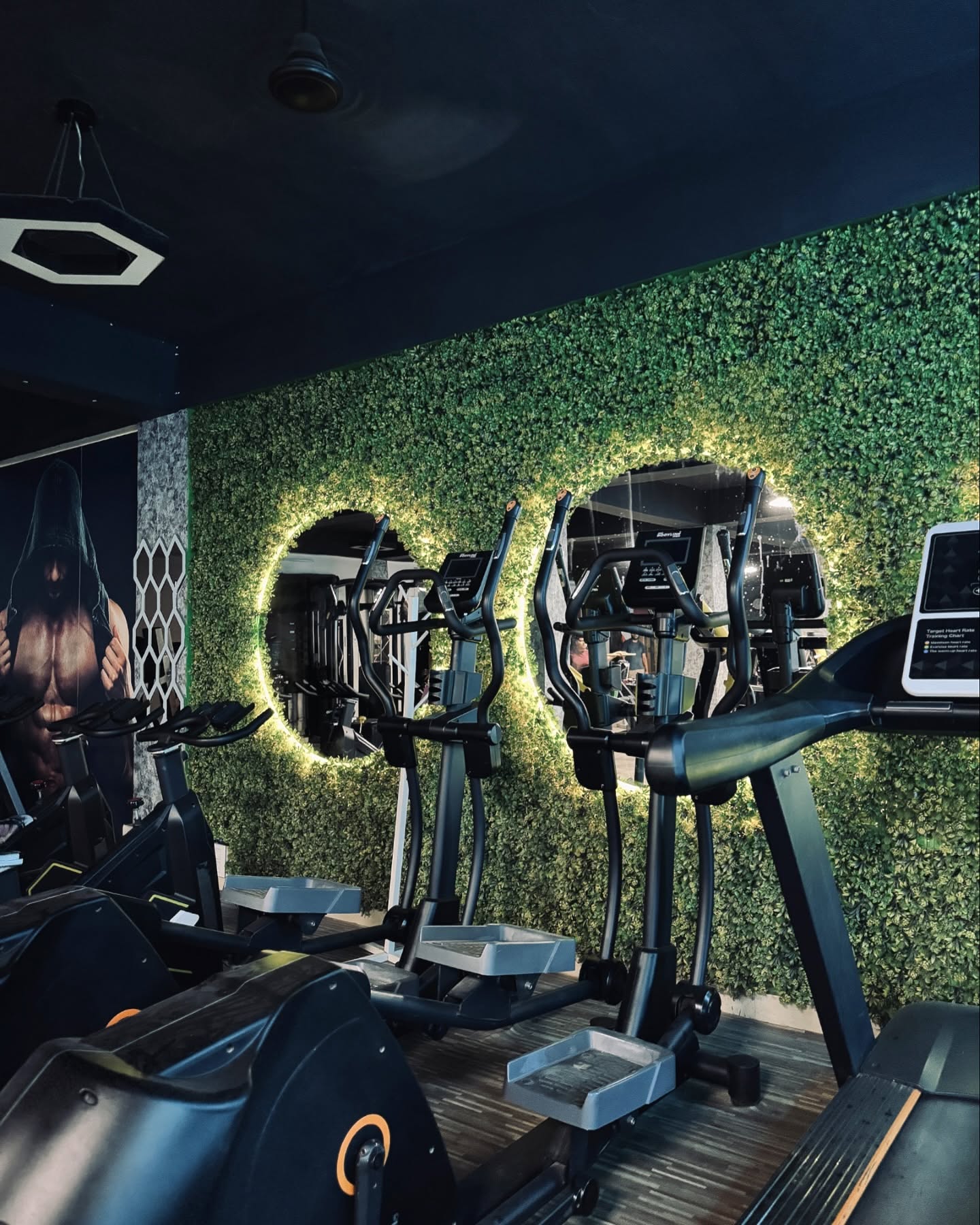 Fitness 007 Cardio Area